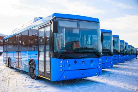 Власти сообщили о появлении в Кузбассе новых автобусных маршрутов