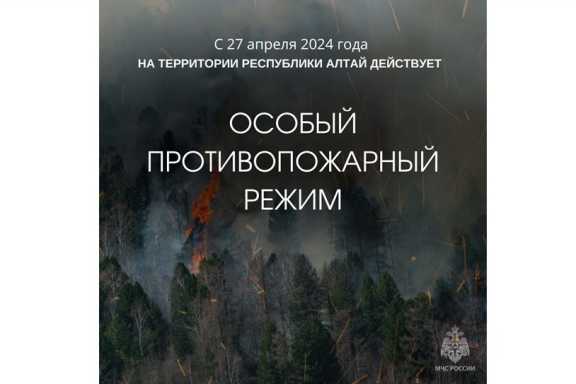 В Республике Алтай с 27 апреля установлен особый противопожарный режим