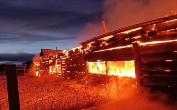 В Республике Алтай заживо сгорели 46 коров