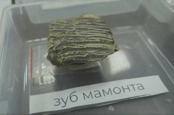 Более 180 тысяч артефактов найдено археологами в Иркутской области