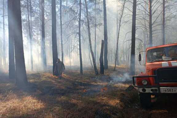 В Приангарье потушили первые лесные пожары