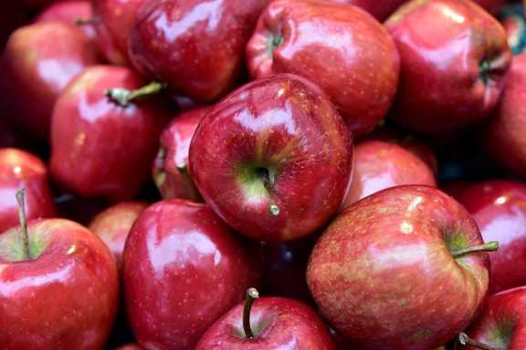 В Алтайском крае почти на 10% подешевели яблоки