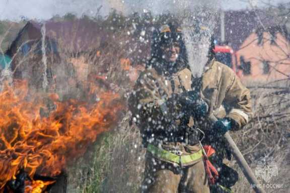 В Алтайском крае растёт число природных пожаров