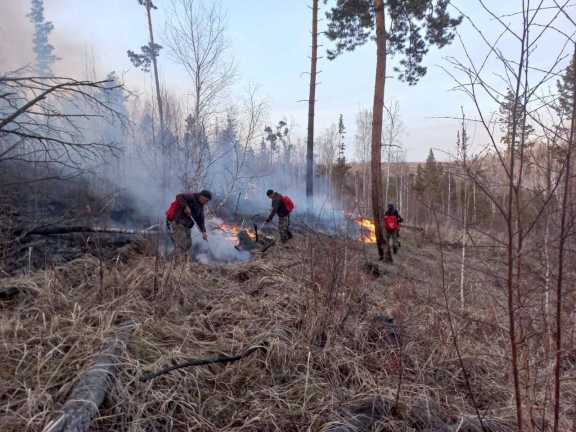 Два первых лесных пожара вспыхнули в Иркутской области