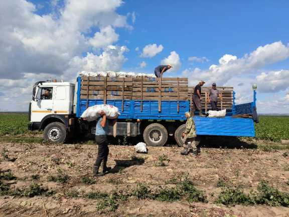 В Красноярском крае 12 начинающих фермеров получат гранты на миллионы