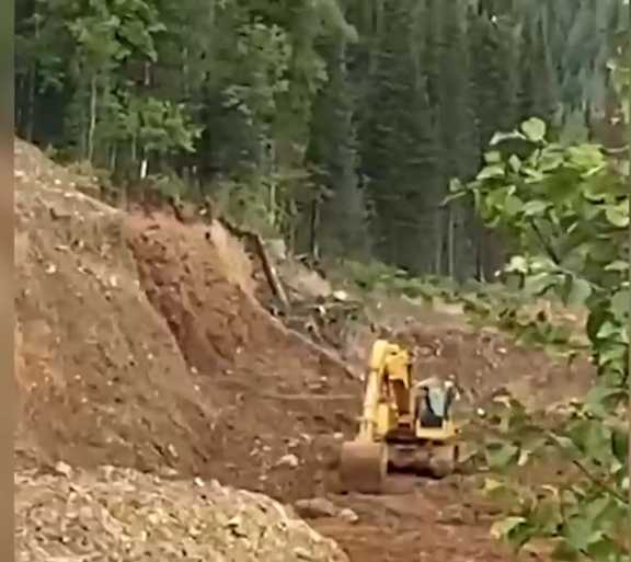 В незаконной рубке леса подозревают руководителя золотодобывающего предприятия в Хакасии  
