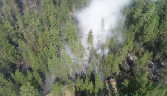 Из-за лесных пожаров в Алтайском крае перекрыли трассу
