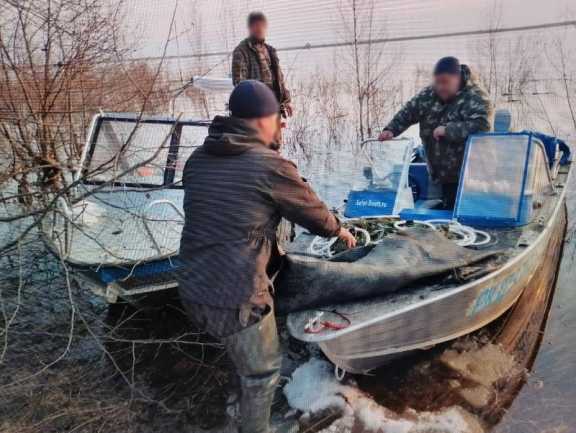 15 краснокнижных рыб спасли в Красноярском крае