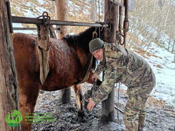 В заповеднике на юге Красноярского края провели подготовку к конным рейдам