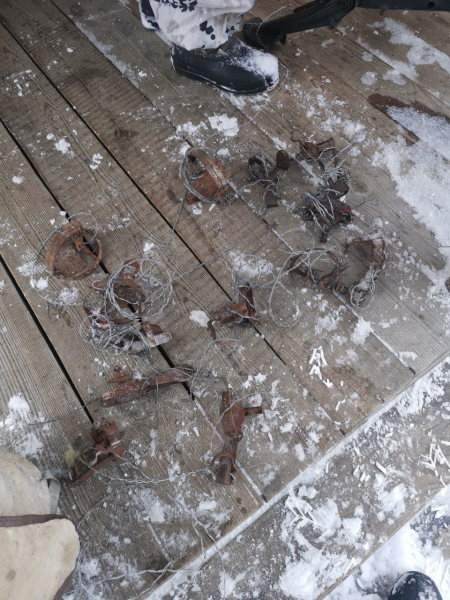 В Красноярском крае на браконьеров завели уголовное дело