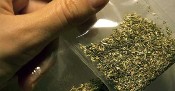 В Хакасии у двух местных жителей изъяли личную марихуану
