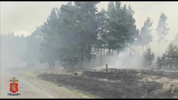 На юге Красноярского края из-за ландшафтного пожара поднято по тревоге подразделение полиции
