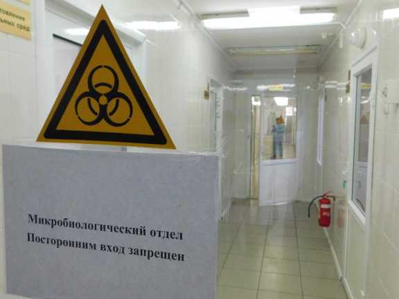 Красноярский референтный центр обнаружил небезопасные мясные продукты
