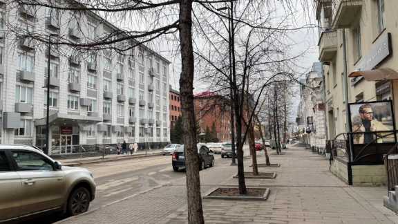 Проспект Мира в Красноярске признали лучшей торговой улицей страны 