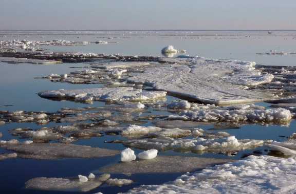 Ледоход на реке Обь в Барнауле может начаться уже 9 апреля