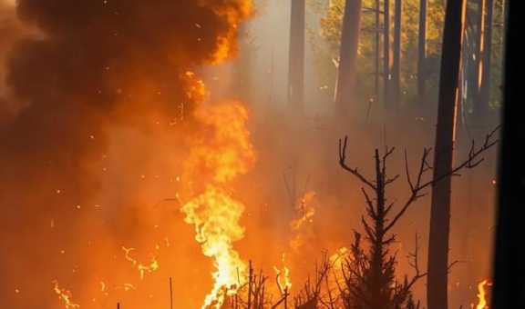 В Туве действуют 25 лесных пожаров