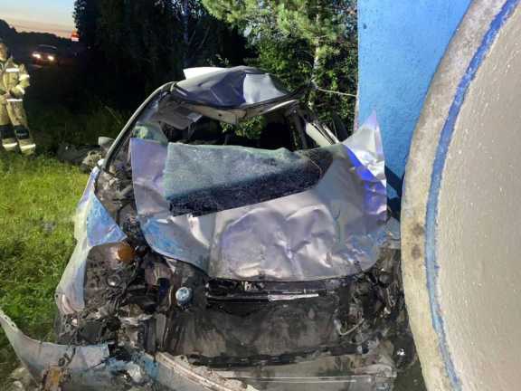 В Красноярском крае в столкновении автомобиля с лошадью погибли водитель и животное