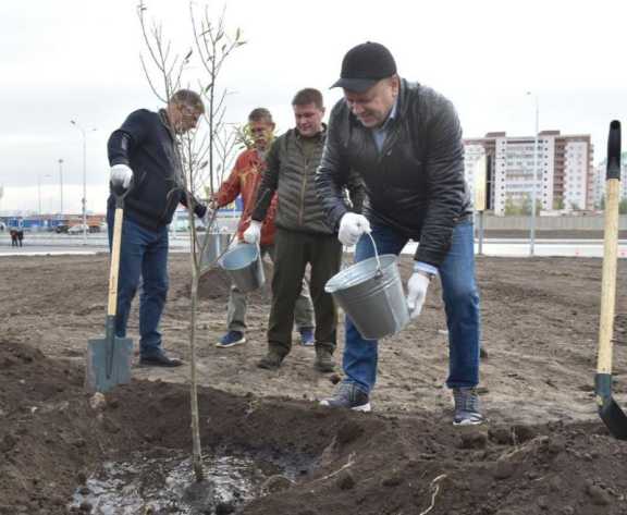 13 тысяч деревьев высадят в Омске