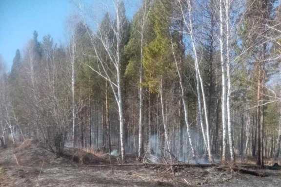 12 лесных пожаров потушили в Иркутской области за минувшие сутки