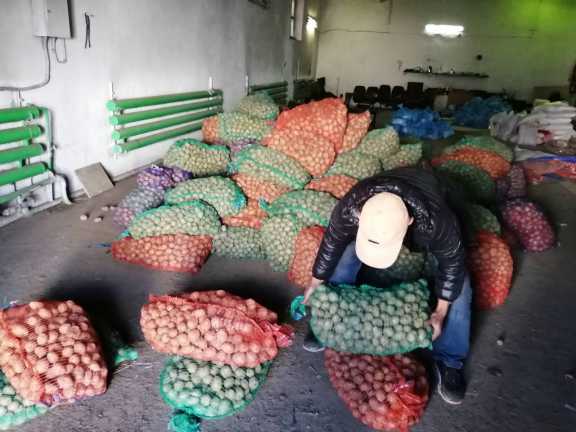 В столице Тувы малоимущим семьям раздадут семенной картофель 