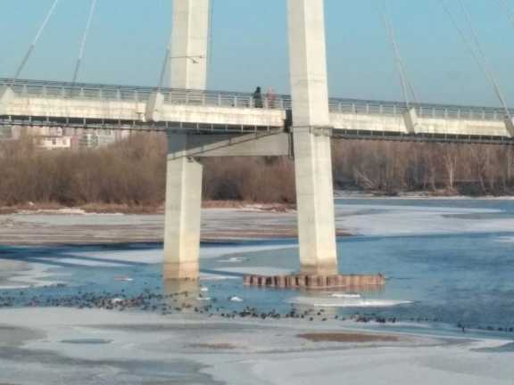 Прогноз погоды в Красноярске на 17 марта