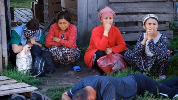 120 мигрантов проверили в ходе очередного рейда в Красноярском крае