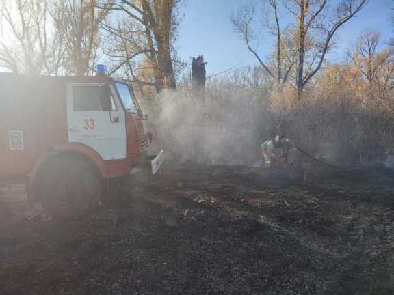 Еще один природный пожар ликвидирован в Алтайском крае
