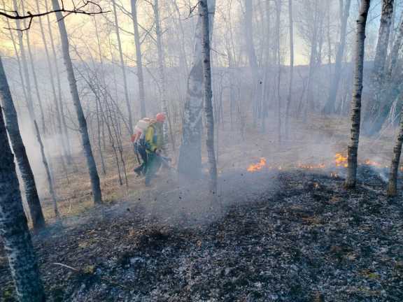Лесопожарный центр рассказал о ситуации с лесными пожарами в Красноярском крае 