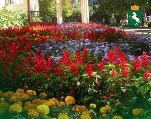 В этом году Томск украсит 420 тысяч цветов