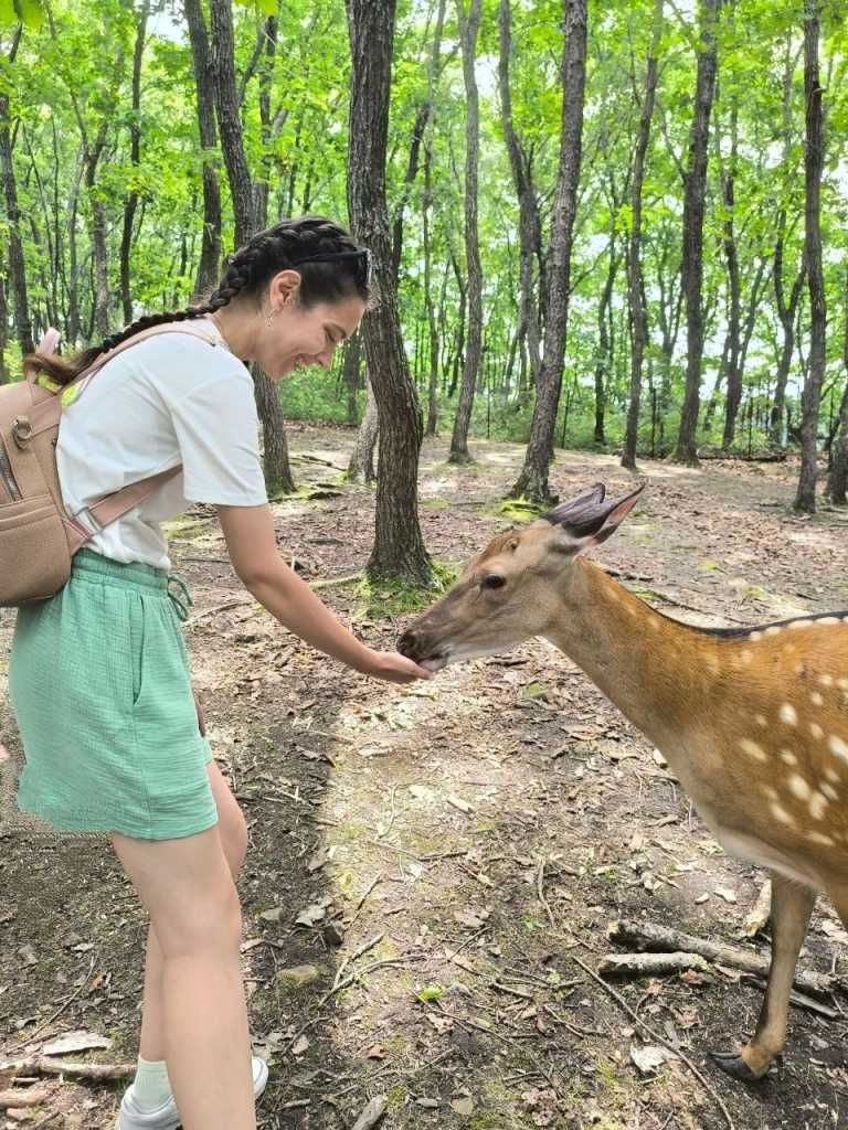 photo_2025-07-25_21-26-14 (2).jpg