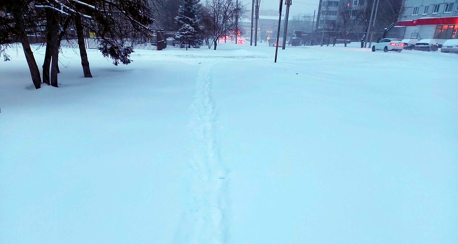 20210129_084938.jpg