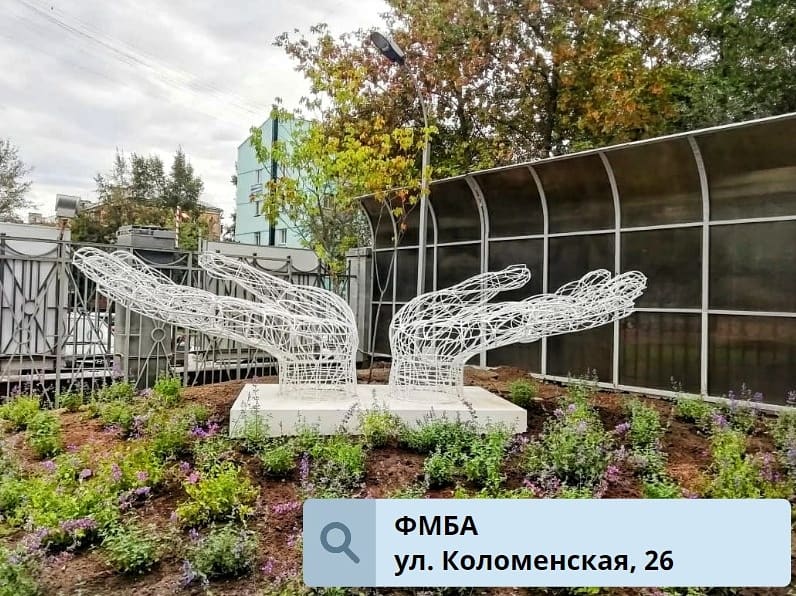 Ладони у ФМБА