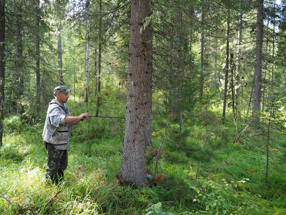 Взятие пробы с дерева во время экспедици в зону особой охраны парка.jpg