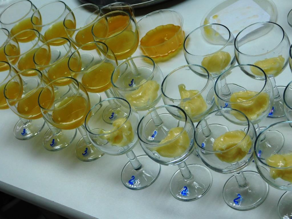 образцы меда DSCN2123.JPG