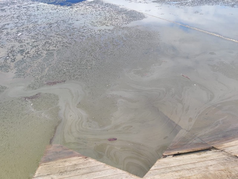 photo_2021-05-21_17-25-33 (2).jpg