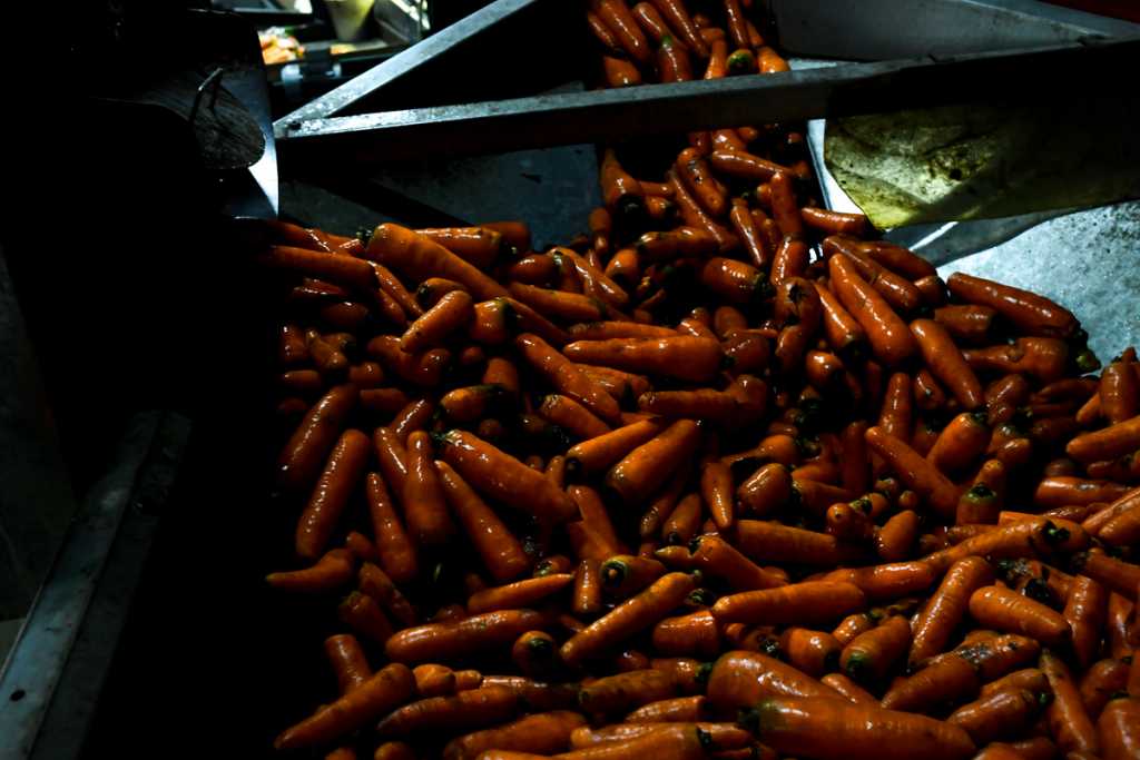 Фото Алины Ковригиной-.jpg