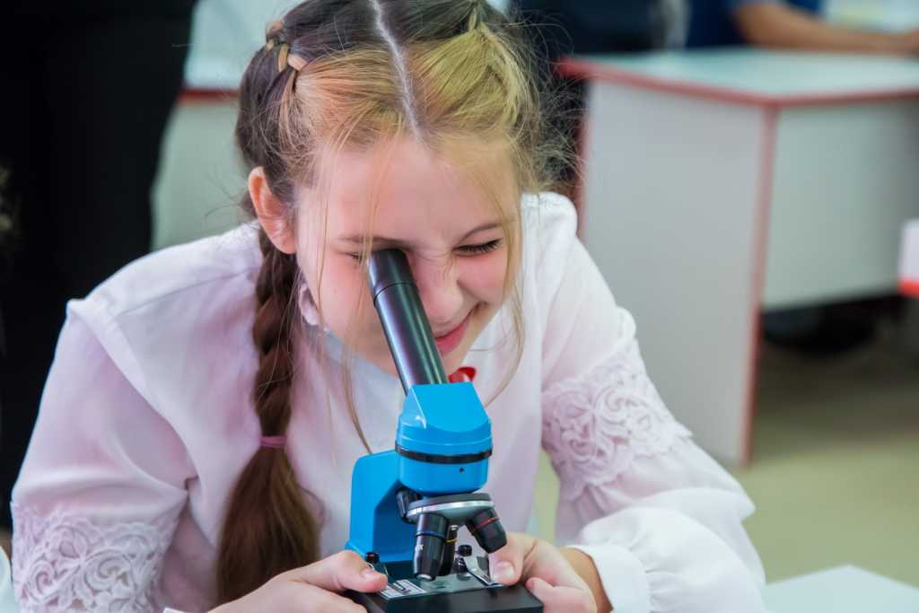 28.07 Точки роста.jpg