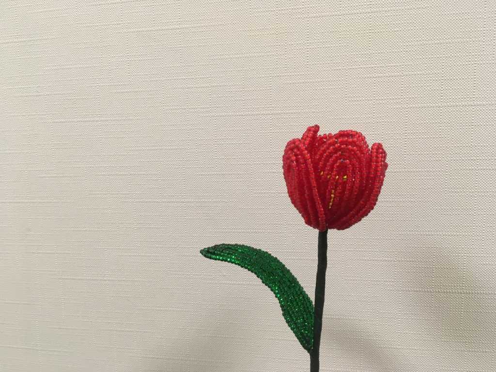 photo1650363530 (1).jpeg