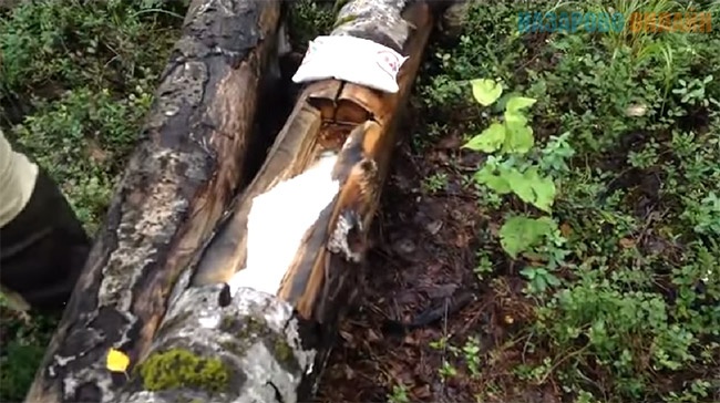 1559009926_solonec.jpg 1559009926_solonec.jpg